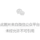 网曝黑料数据列表-第11页-黑料不打烊免费视频-明星黑料-黑料网，惊天内幕曝光，引发全民热议，震撼性事件引发各界关注！