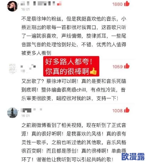 坤坤放进坎坎视频引发热议，粉丝热情回馈，讨论其对网络文化的影响与趋势