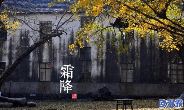桃源秘境人家迎霜降,一夜寒霜节气庆典活动精彩纷呈 桃源秘境人家迎霜降,一夜寒霜节气庆典活动精彩纷呈