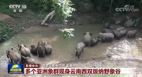 51黑料爆料:揭示背后不为人知的真相与潜在影响,值得每个人深思与关注 51黑料爆料:揭示背后不为人知的真相与潜在影响,值得每个人深思与关注