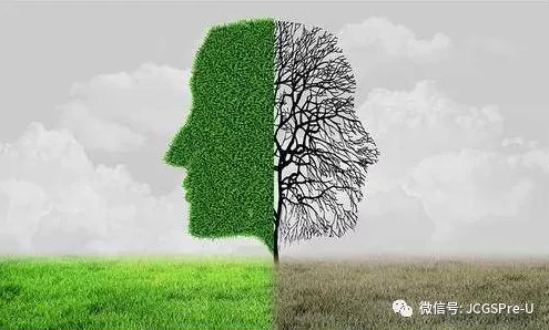 小草2024回家不迷路：如何在复杂的城市环境中找到归属感与方向感，助力每一个心灵的归途