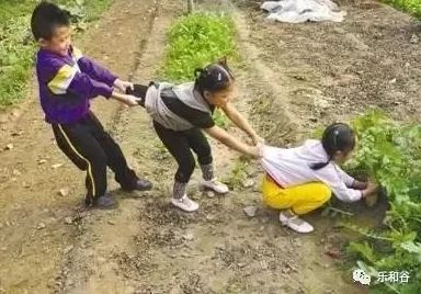 光腿拔萝卜光腿拔萝卜：惊现全球首个光腿拔萝卜大赛，选手挑战极限引发热议，万众瞩目！