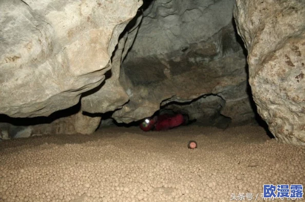 探寻艾尔登法环:哪个隐秘洞窟内藏匿着奇特的蜗牛生物? 探寻艾尔登法环:哪个隐秘洞窟内藏匿着奇特的蜗牛生物?