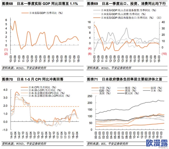 XXXXXX日本：探讨文化交流与经济合作的深远影响，促进两国关系的新机遇与挑战