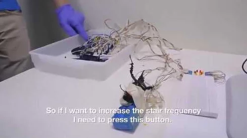 综合插插插：震惊！全球首个“人造生命”实验成功，科学家称将彻底改变生物学未来！