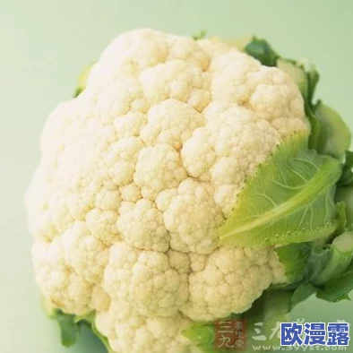 河北菜花封神代码:解析这道独特美食背后的文化与制作工艺,带你领略河北地方风味的魅力 河北菜花封神代码:解析这道独特美食背后的文化与制作工艺,带你领略河北地方风味的魅力