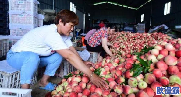 水蜜桃一区二区:新一季水蜜桃丰收在即,农民们忙碌采摘,市场需求持续攀升 水蜜桃一区二区:新一季水蜜桃丰收在即,农民们忙碌采摘,市场需求持续攀升
