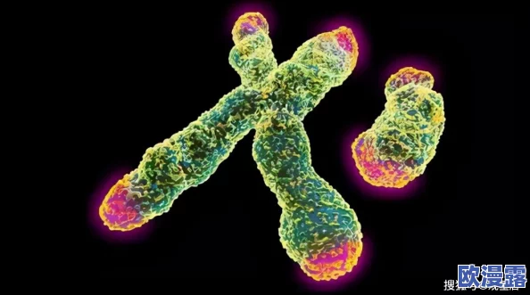 yw牢记十个以上:全球首个永生植物成功研发,科学家称可改变人类未来! yw牢记十个以上:全球首个永生植物成功研发,科学家称可改变人类未来!