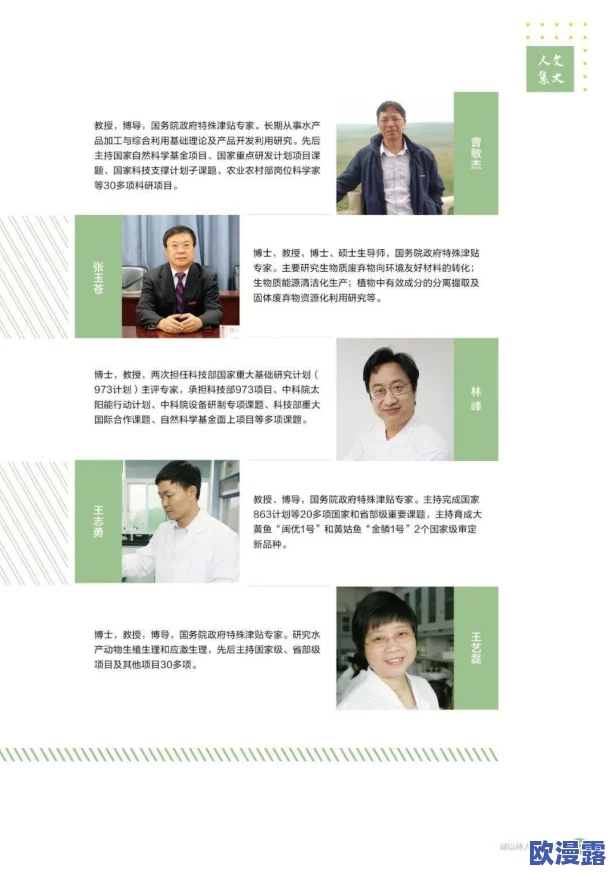 详尽解析：抓大鹅便利店篇全面通关攻略与技巧指南