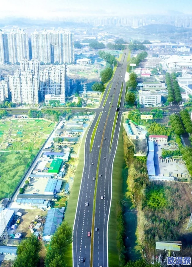 仙踪林2024高速入口位置解析:探索便捷交通与自然美景交汇点 仙踪林2024高速入口位置解析:探索便捷交通与自然美景交汇点