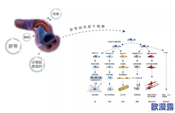 可不可以干湿你最简单？惊呆众人，科学家公布最新研究成果，彻底颠覆我们对干湿的理解！