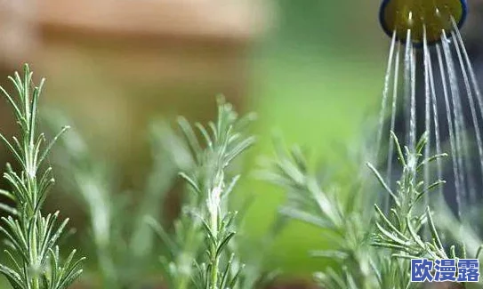 可不可以干湿你最简单？惊呆众人，科学家公布最新研究成果，彻底颠覆我们对干湿的理解！