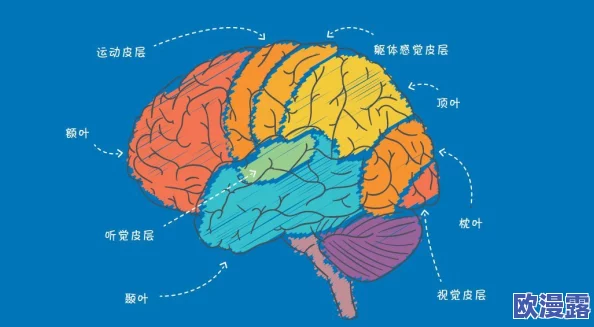 2024年必玩！创新与传统交织的123木头人游戏大盘点与热门玩法搜罗