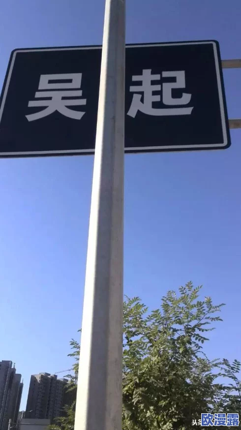 吴骑T0：解析这一新兴骑行品牌在市场中的崛起及其对消费者的影响与未来发展潜力