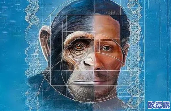 嘼与人 oo：震惊！科学家意外发现嘼与人的惊人基因相似性，挑战人类起源理论！