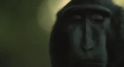 震撼!一个人看的ww视频竟然藏着不为人知的秘密,观看后让人目瞪口呆的真相曝光! 震撼!一个人看的ww视频竟然藏着不为人知的秘密,观看后让人目瞪口呆的真相曝光!