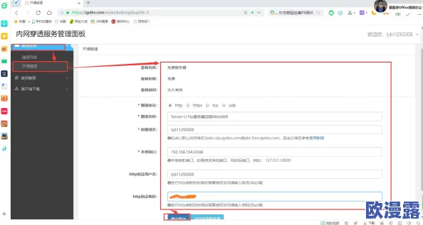 51cg.fun192.168.1.1com：解析网络地址与域名系统的关系及其在现代互联网中的应用与挑战