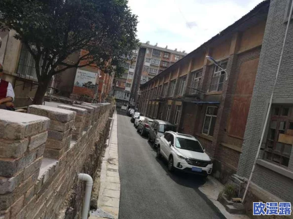 中文日产第一页永久有效，助力用户轻松获取最新信息与服务，提升使用体验和满意度