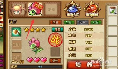 弹弹堂游戏评测：极烈火与极水果篮，哪个更坑玩家钱包？
