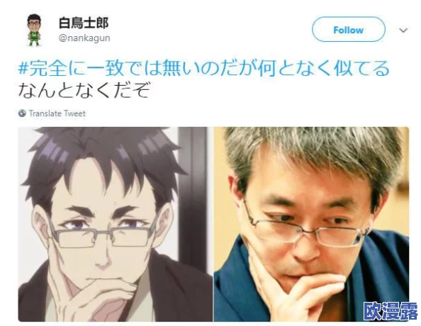 日本在线不卡免费视频一区：最新动态引发热议，网友热衷讨论内容与平台发展趋势