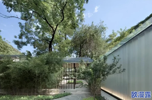 魔力时代深度解析：污染的村落2-2副本关卡挑战全攻略