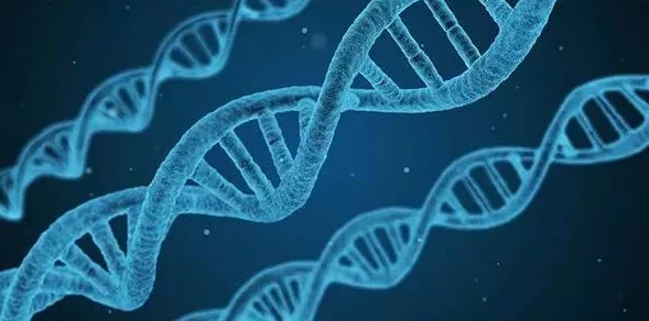 Python人马兽：探讨这一神秘生物在编程与文化中的象征意义及其对现代科技的影响
