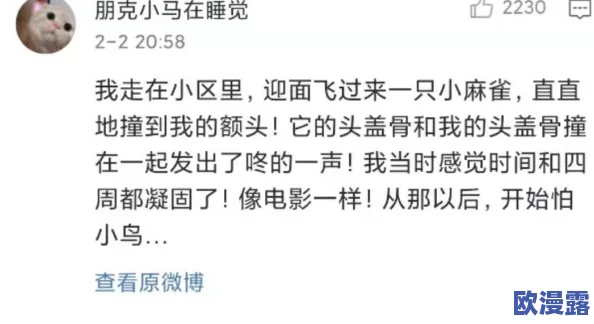 你特么别舔了：关于网络语言对年轻人社交行为影响的研究与分析