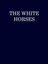 THEWHITEBOX精选黑与白：时尚界颠覆传统配色的惊人新趋势，引发全球热议与追捧！