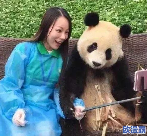 Zoom与动物Zoom大全美国：网友热议在线会议的便利性与动物视频的趣味性，分享各自使用体验和看法