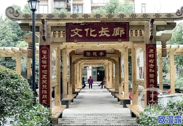黑社区：新动态揭示了社区内的文化变迁与居民生活方式的深刻变化，值得关注与思考
