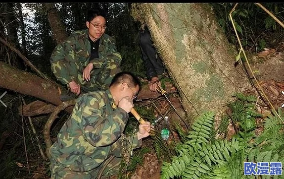 坤巴塞小洞最新动态：科学家发现新物种，揭示生态系统的独特性与重要性
