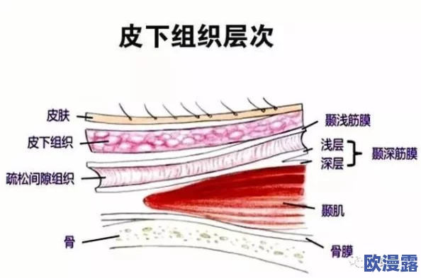 用筋膜枪打小豆豆会怎么样？专家解析其对皮肤的影响与潜在风险，助你科学使用筋膜枪！
