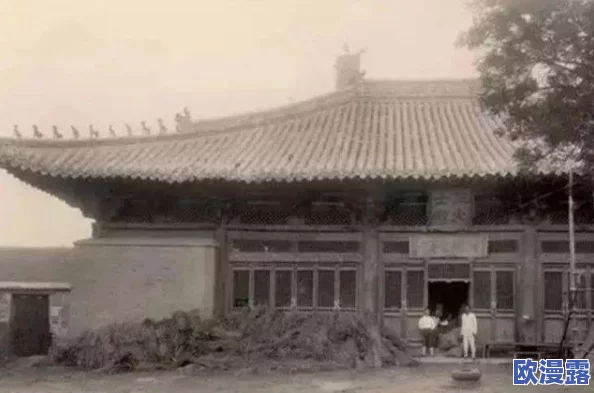 胡秀莲与瓦工在破庙：探讨传统文化保护与现代建筑技艺的碰撞与融合