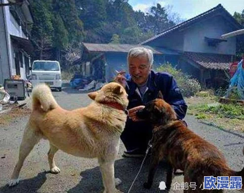 男人操母狗：揭示人类与动物之间复杂关系的伦理争议与社会反响