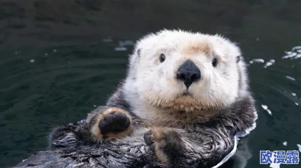 CF手游全新地图水族馆团队战制胜技巧与策略深度分享