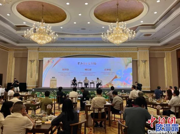 中文字幕的进展：如何提升观众体验与文化交流，推动影视作品在全球范围内的传播与理解