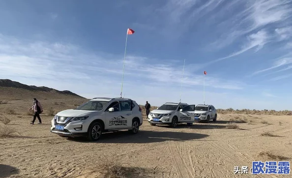 日产无人区未来发展前景:新技术应用与市场需求推动行业转型升级的最新动态分析 日产无人区未来发展前景:新技术应用与市场需求推动行业转型升级的最新动态分析