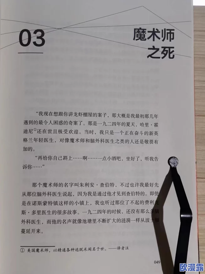 航海王强者之路：本萨姆伙伴全面解析与整体评价分享