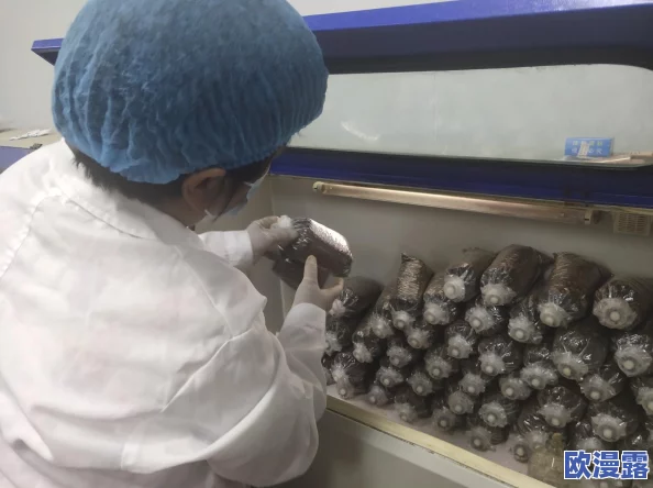 蘑菇吃瓜官网黑料爆料：最新内幕消息引发网友热议，真相究竟如何？