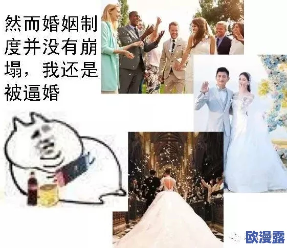 婚闹晴儿:传统习俗与现代观念的碰撞,如何在婚礼中找到平衡点? 婚闹晴儿:传统习俗与现代观念的碰撞,如何在婚礼中找到平衡点?