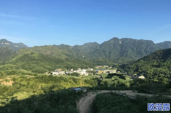 山里人家40一80：探访深山中的独特生活方式与自然风光，感受人与自然的和谐共生之美