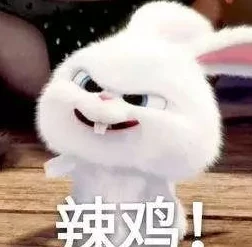 两只小白兔在衬衫里抖来抖去，意外揭示萌宠奇妙生活背后的秘密与乐趣！