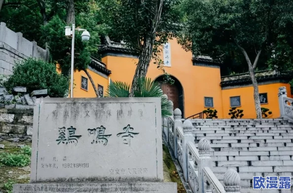 胭脂手游激活码高效预约全攻略指南及获取技巧详解