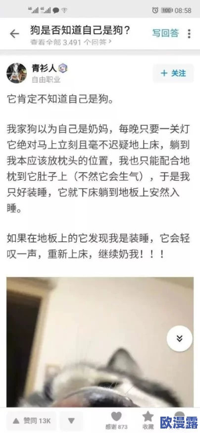 黄台404：神秘失踪事件引发全国关注，网友热议背后真相与可能的阴谋论！