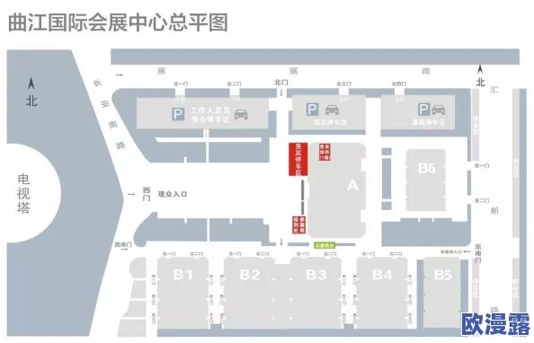 日韩在线三级视频：最新动态引发热议，用户关注度持续攀升，相关内容不断更新，期待更多精彩呈现