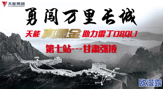 黄绝一级碟片最新进展：新发现揭示其历史背景与文化价值，专家呼吁加强保护与研究工作