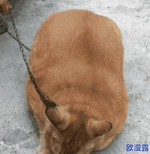 女邻居被做得嗷嗷叫,网友纷纷表示这样的行为太过分,侵犯了他人的隐私和安宁 女邻居被做得嗷嗷叫,网友纷纷表示这样的行为太过分,侵犯了他人的隐私和安宁
