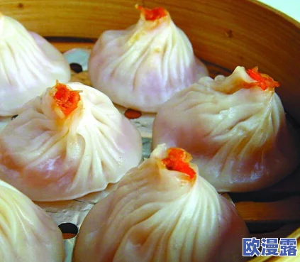 包子*:传统美食的现代演绎,如何在快节奏生活中找到属于自己的味道与情感连接 包子*:传统美食的现代演绎,如何在快节奏生活中找到属于自己的味道与情感连接