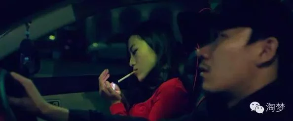 老司机深夜影院：新一季节目上线，带来更多精彩影片与互动体验，观众反响热烈