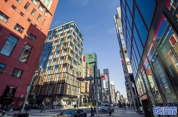 岛国一区二区：最新动态揭示了该地区在文化交流与经济合作方面的积极进展，吸引了更多国际关注与投资